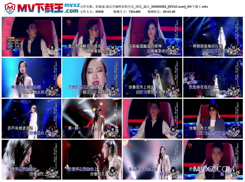 彭丽嘉-透过开满鲜花的月亮_国语_流行_MD500552